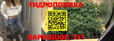 гидропоника Севастополь