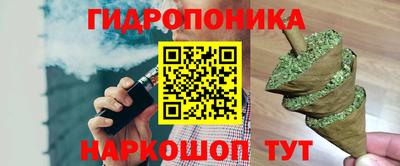 a pvp Свободный