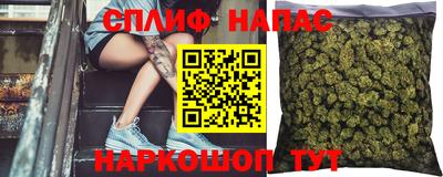 a pvp Свободный