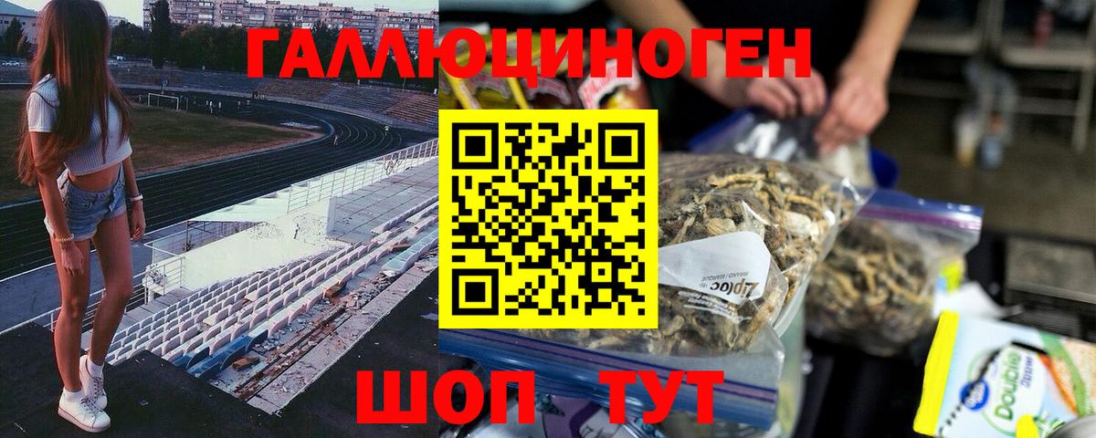 Шарыпово  Псилоцибиновые грибы прущие грибы  Вход с VPN 